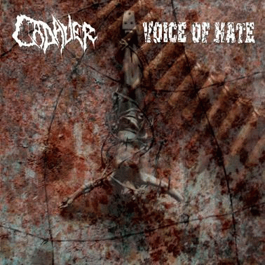 Cadaver (NOR) : Cadaver - Voice Of Hate